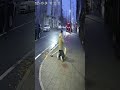 犬が飼い主を突っ込んでくる車から助ける🐶🚗2