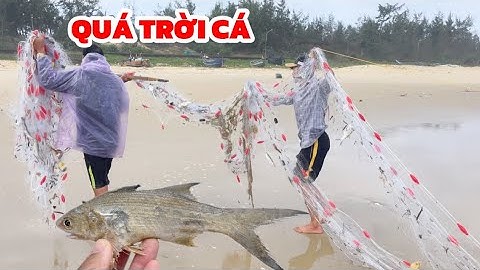 Cá Áp Bờ Quá Trời – Mẻ Lưới Một Lúc Được Cả Đống!
