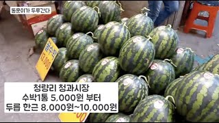 청량리청과시장 수박1통 5,000원부터 / 두릅 한근 8,000원~10,000원