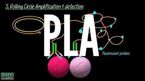 Proximity Ligation Assay | PLA Assay | Protein Detection Using PLA |