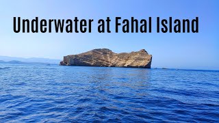 Underwater at Fahal Island