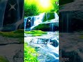 प्रकृति का मधुर संगीत 🌊🌿 | Peace of Waterfall Sound #Nature #Shorts