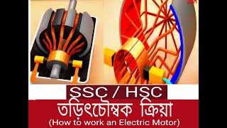 How does an electric motor work?(Dc Motor)