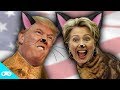 Cat President: A More Purrfect Union Review