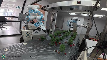 While the Fields Rest, Our Robot Works — and It’s Getting Very Good at Harvesting Strawberries 🍓🤖