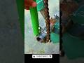 Genius DIY Trick to Remove Water Nuts #shorts