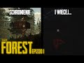 Schronienie i wicej  the forest  1