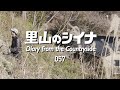 田舎暮らし 057:今年もゴミと戯れる年末【古民家の片付け】