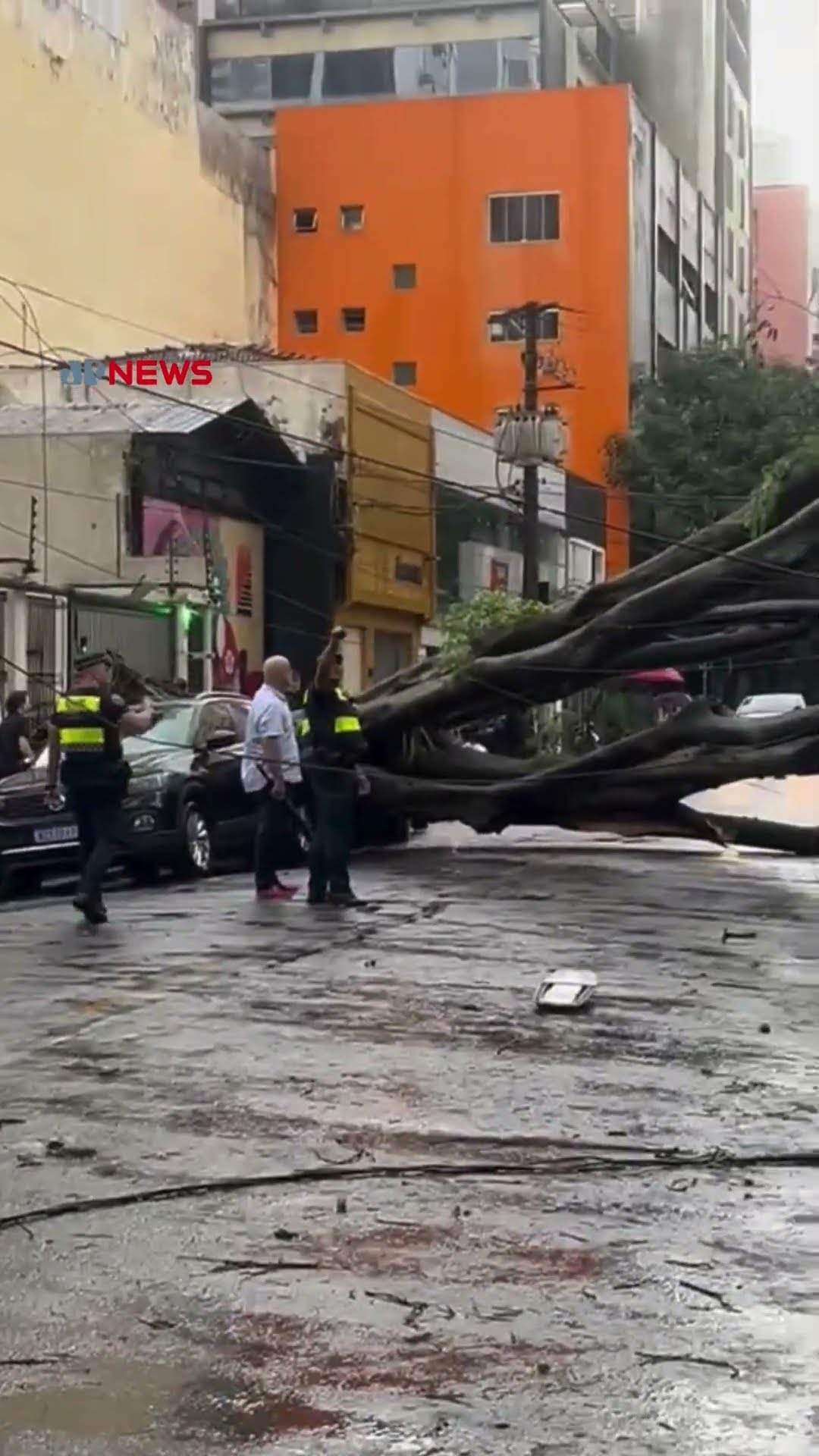 Chuva de granizo derruba árvores e deixa SP em estado de atenção; 173 mil ficam sem luz #shorts