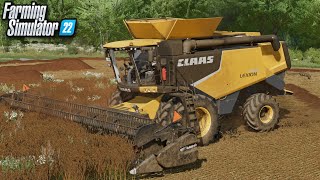 Harvesting Flax on Edgewater Saskatchewan! | Farming Simulator 22