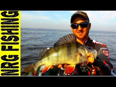 Спиннинг в БУБЛИК | РЕЧНЫЕ МОНСТРЫ