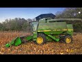 Harvesting Corn Grown Into Standing Rye Grass — Did It Pay Off?