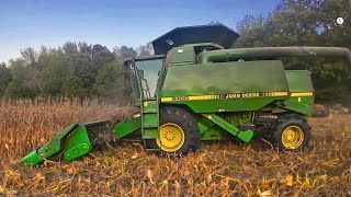Harvesting Corn Grown Into Standing Rye Grass — Did It Pay Off?
