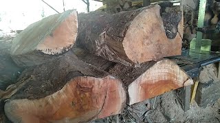 Amazing wood.PROSES PEMOTONGAN KAYU RENGAS