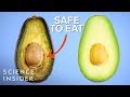 Why its ok to eat a brown avocado