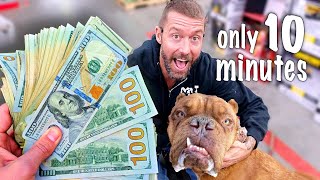 Donating $10,000 to Animal Shelter but only 10 Minutes to Spend Challenge