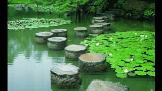 二胡版【片片相思赋予谁 3个小时】 fatigue relief music  轻音乐 钢琴音乐 -  疗愈音乐 - 放松解压,放鬆身心,輕音樂 ,適合放鬆,療癒,舒眠,減壓 ,读书