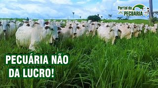 Lucro na Pecuária: 7 passos simples para evitar que ele desapareça!!! 