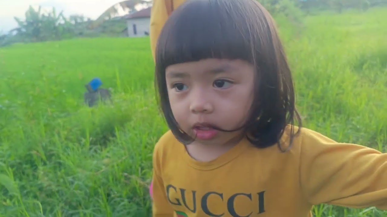 Pagi ngebolang ke sawah @solok/padang #fyp#videoanak#liburanseru#solokpadang#bukitsilehpadang