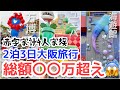 【音声あり】貯金を崩して家族旅行へ行って来た/ユニバ/大阪万博/海遊館/赤字家計