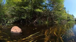 360 River Views on a Sunny August 10th VID 20210810 142348 00 006