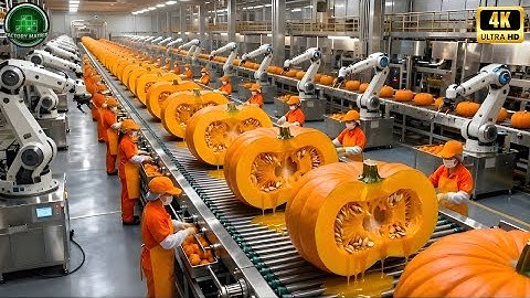 Factorybis : From Whole Pumpkins to Canned Puree (Full Process)