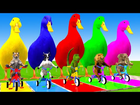 5 Giant Duck Cartoon,Cow,Elephant,Tiger,Lion,Dinosaur,Paint Wild Animals Crossing Fountain Animation