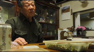 映画『調査屋マオさんの恋文』予告編