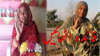 دیسی اکھ اور ڈھولے کے فائدے/ گنجاپن دور کرے/جسمانی درد اور سوزش/ desi Akka aur Dole ke fayde