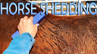 Relaxing And Satisfying Horse Shedding ASMR!