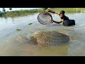 Really amazing fishing 2024  village boy catching fish with bamboo tools polo trap in pond