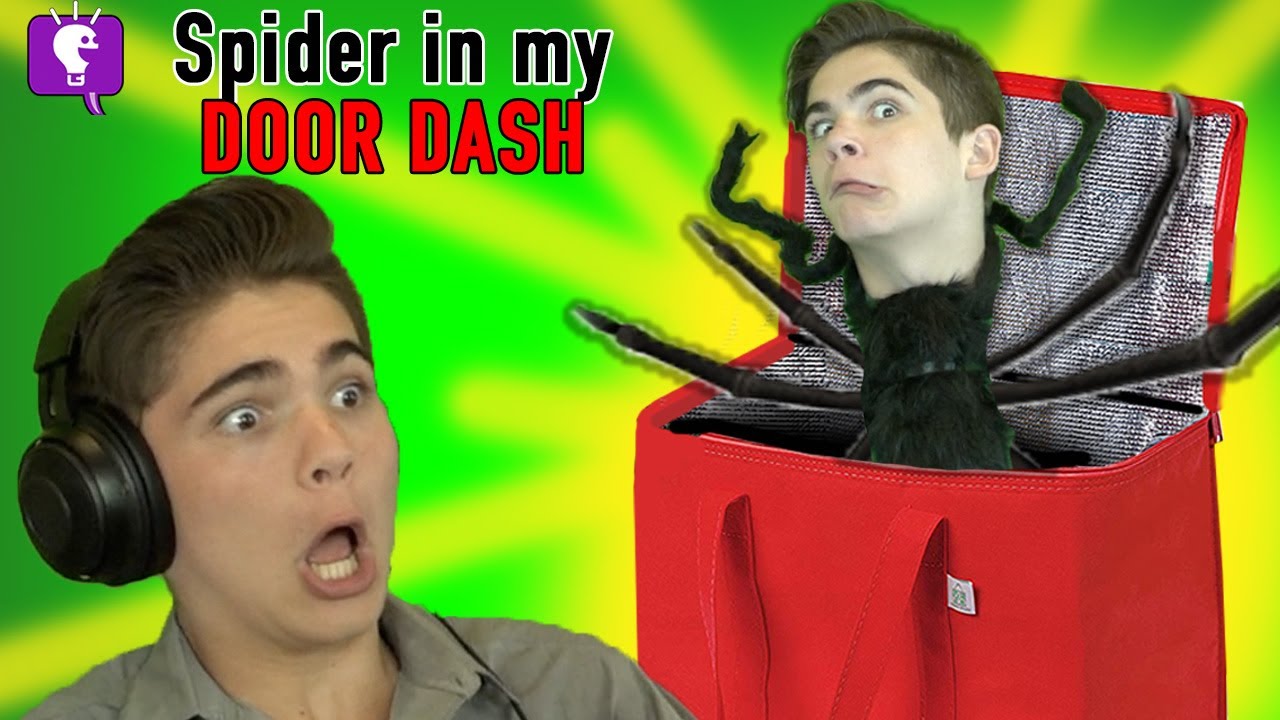 Паук в моей дверной панели на HobbyFamilyTV