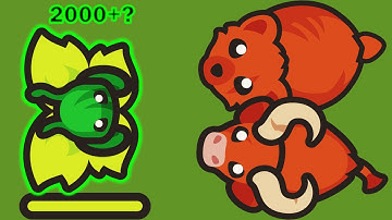 Taming.io - How Much Can You Heal at Once? The Vampirism Effect