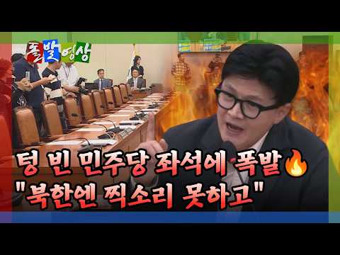 [돌발영상] 한동훈의 한 방 / YTN