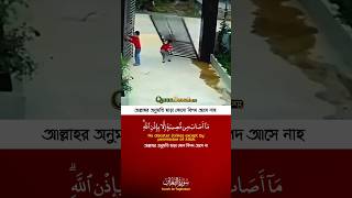 Surah At-Taghabun (11) Recitation by Sheikh Raad Al Kurdi