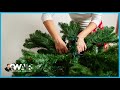 Are Fake Trees Officially More Popular Than Real Christmas Trees? | On Air with Ryan Seacrest