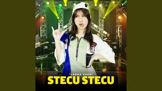 Stecu Stecu