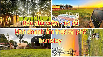 cần bán nhà vườn - ao cá đang kinh doanh du lịch sinh thái ẩm thực  - homstay - cà phê view đồng