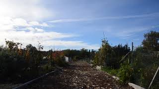 DSC 2856