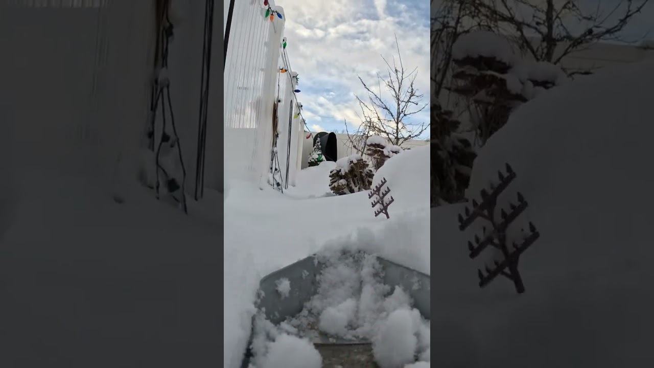 Wedge plow through deep snow