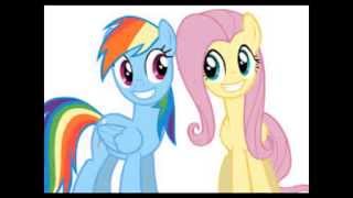 Rainbow Dash y Fluttershy Tribute