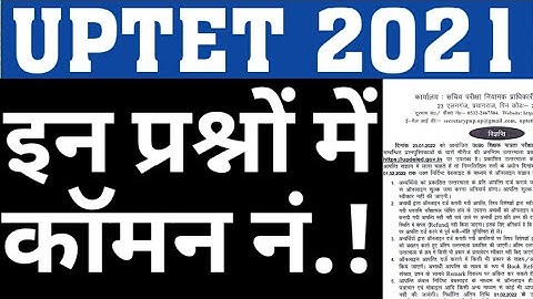 UPTET 2021 UPPER PRIMARY COMMON NUMBER|WRONG QUESTIONS IN UPTETPAPER 2|UPTET COMMON NUMBER|CAREERBIT