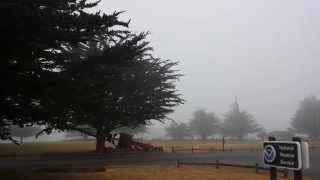 Morning sites and sounds at the Eureka Weather Forecast Office - 5 June 2014