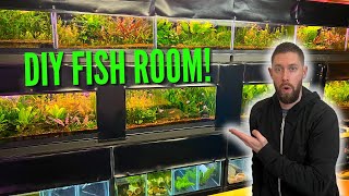 INCREDIBLE DIY FISH ROOM with Beautiful Planted Aquascapes