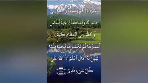 سورة البقرة صفحة ٤٣ مكتوبة مكررة بصوت عذب