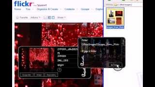 Sort Images from Flickr by License