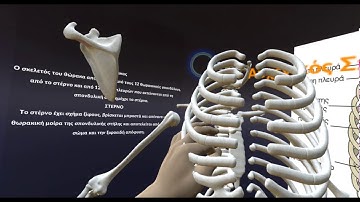 VR Human Anatomy - Leap motion and Oculus Rift DK2
