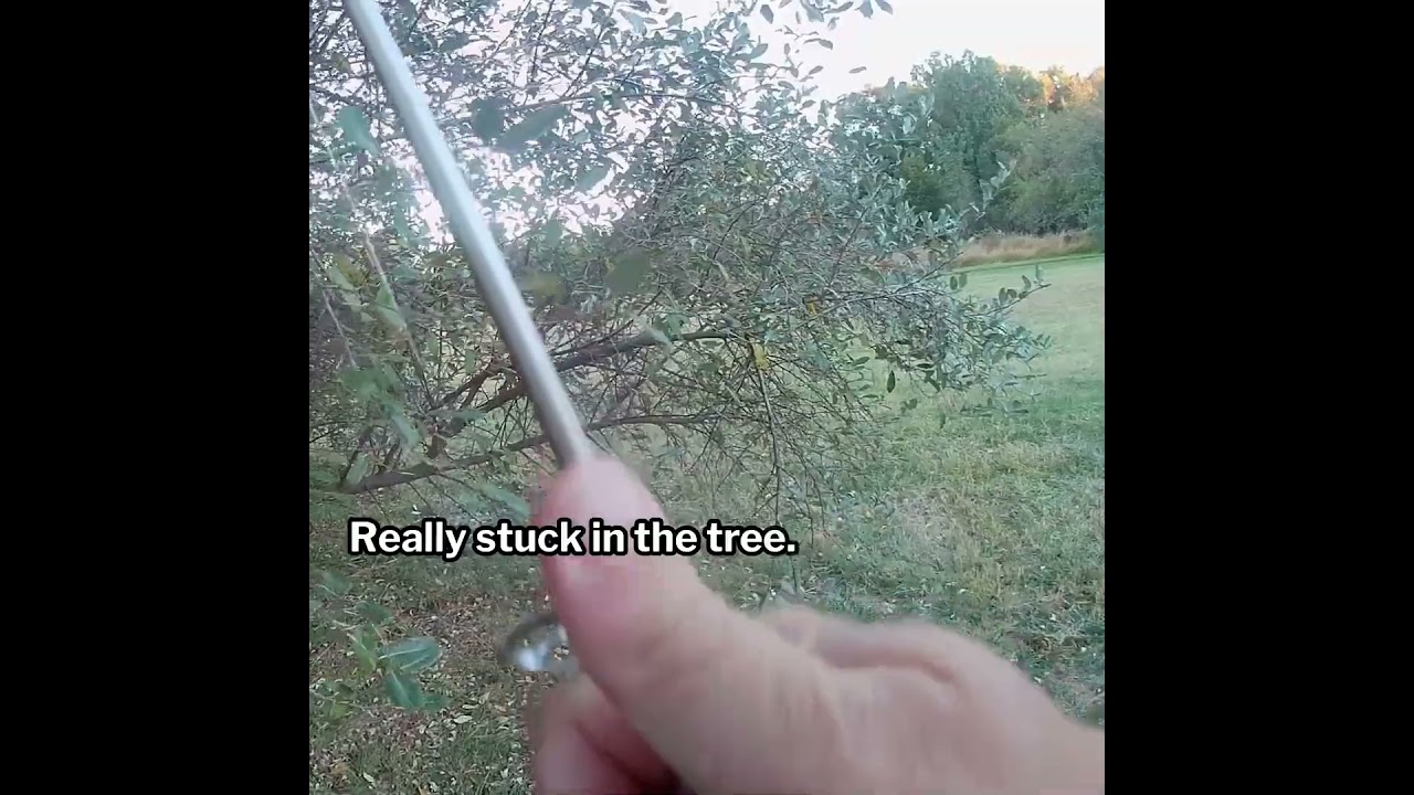 Nature's way of telling you to move to the next spot.