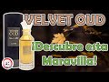 Velvet Oud - Lattafa | ¿A que huele? | Tienes que conocer esta fragancia | Aroma Masculino