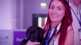 #BIBA2025 - Day 2 - Roundup Highlights